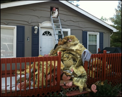 Sterling attic insulation replacement