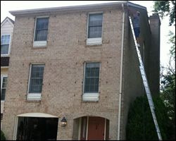 Bat exclusion in Sterling VA