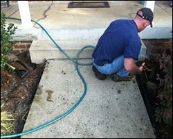 Dead animal removal Sterling VA